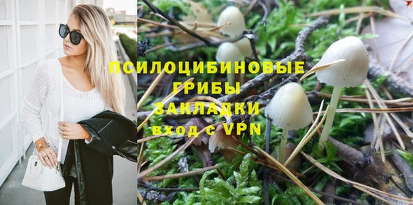 амф Бронницы