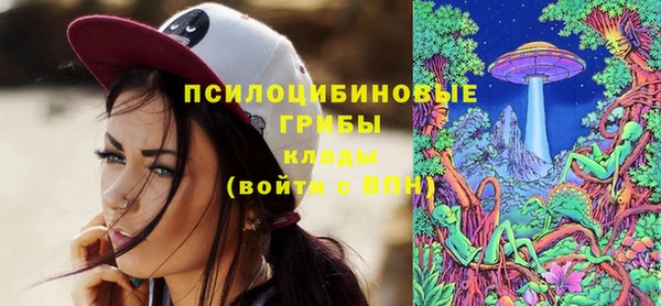 не бодяженный Богородицк