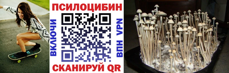 Галлюциногенные грибы мухоморы  Энгельс 